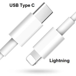 Câble USB Type C vers Lightning,1m Blanc, donnée et charge rapide (iPhone)