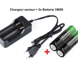 Chargeur et 2x Batteries 3.7V 18651 pour Kit Arduino